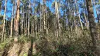 Foto 6 de Fazenda/Sítio à venda, 448000m² em Pedra Branca, Alfredo Wagner