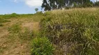 Foto 6 de Lote/Terreno à venda, 20000m² em Monte Alegre, Vinhedo