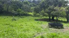 Foto 13 de Fazenda/Sítio à venda, 20000m² em Zona Rural, Caeté