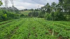 Foto 5 de Lote/Terreno à venda, 1000m² em Curral, Ibiúna