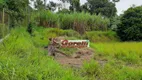 Foto 4 de Fazenda/Sítio com 3 Quartos à venda, 100m² em Parque Santa Tereza, Santa Isabel