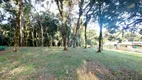 Foto 5 de Fazenda/Sítio à venda, 10680m² em Campestre da Faxina, São José dos Pinhais