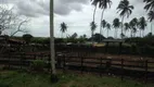 Foto 4 de Fazenda/Sítio com 3 Quartos à venda, 25000m² em Centro, Ceará Mirim