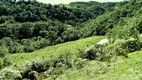 Foto 11 de Fazenda/Sítio à venda, 74000m² em Pedra Branca, Alfredo Wagner