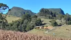 Foto 23 de Fazenda/Sítio com 3 Quartos à venda, 35600m² em Centro, Alfredo Wagner