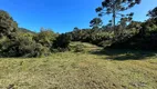 Foto 22 de Lote/Terreno à venda, 20000m² em Zona Rural, Urubici