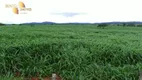 Foto 16 de Fazenda/Sítio à venda, 83000000m² em Zona Rural, Comodoro