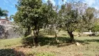 Foto 49 de Fazenda/Sítio com 4 Quartos à venda, 30200m² em Pouso Alegre, Santa Isabel