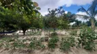 Foto 23 de Fazenda/Sítio com 3 Quartos à venda, 25000m² em , São João