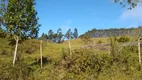 Foto 30 de Fazenda/Sítio com 2 Quartos à venda, 532400m² em Zona Rural, Natividade da Serra