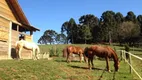 Foto 34 de Fazenda/Sítio com 7 Quartos à venda, 36300m² em Bom Sucesso, Castro