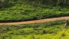 Foto 4 de Lote/Terreno à venda, 500m² em Centro, Mogi das Cruzes