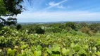 Foto 63 de Lote/Terreno à venda, 120000m² em Vale dos Vinhedos, Bento Gonçalves