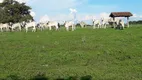 Foto 3 de Fazenda/Sítio à venda, 40000m² em Zona Rural, Araguapaz