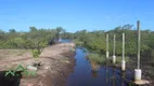 Foto 15 de Fazenda/Sítio à venda, 200m² em Pinheiros, Balneário Barra do Sul