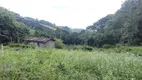 Foto 20 de Fazenda/Sítio à venda, 84900m² em Zona Rural, Delfim Moreira