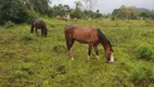 Foto 25 de Fazenda/Sítio com 3 Quartos à venda, 48000m² em Zona Rural, Paraibuna