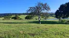 Foto 12 de Fazenda/Sítio com 4 Quartos à venda, 82m² em Zona Rural, Brejinho