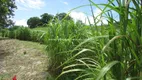 Foto 22 de Fazenda/Sítio com 3 Quartos à venda, 120000m² em Guapiaçu, Cachoeiras de Macacu