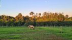 Foto 21 de Fazenda/Sítio com 4 Quartos à venda, 397622m² em Zona Rural, Bela Vista de Goiás