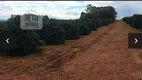 Foto 3 de Fazenda/Sítio à venda, 10600000m² em Zona Rural, Araxá