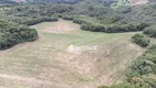 Foto 6 de Lote/Terreno à venda, 72600m² em JARDIM CECILIA, Campo Magro