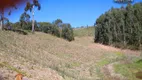 Foto 13 de Fazenda/Sítio com 2 Quartos à venda, 181500m² em Centro, Lapa