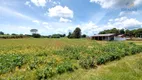 Foto 12 de Fazenda/Sítio com 2 Quartos à venda, 194m² em Faxina, São José dos Pinhais