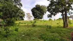 Foto 4 de Fazenda/Sítio com 3 Quartos à venda, 200m² em Zona Rural, Goianésia