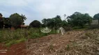Foto 16 de Fazenda/Sítio com 2 Quartos à venda, 100m² em Usina Três Bocas, Londrina
