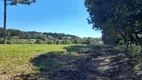 Foto 9 de Lote/Terreno à venda, 75000m² em Centro, Campo do Tenente