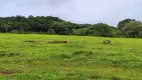 Foto 21 de Fazenda/Sítio com 2 Quartos à venda, 250m² em Zona Rural, Goianápolis