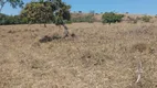 Foto 13 de Fazenda/Sítio com 5 Quartos à venda, 1600000m² em Area Rural de Novo Gama, Novo Gama