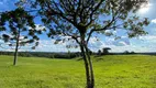 Foto 70 de Fazenda/Sítio com 10 Quartos à venda, 3000m² em Campo Alto, Tijucas do Sul