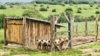 Foto 7 de Fazenda/Sítio com 2 Quartos à venda, 26000000m² em Rincao da Cruz, Pelotas