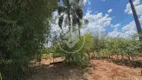 Foto 11 de Fazenda/Sítio com 3 Quartos à venda, 3m² em Area Rural de Uberlandia, Uberlândia