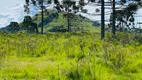 Foto 19 de Fazenda/Sítio à venda, 440000m² em Santa Izabel, São Joaquim