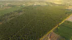 Foto 6 de Fazenda/Sítio com 2 Quartos à venda, 40m² em Sitio Arena, São José de Mipibu