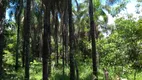 Foto 8 de Fazenda/Sítio à venda, 400000m² em Setor Central, Pires do Rio