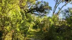 Foto 12 de Fazenda/Sítio com 2 Quartos à venda, 200000m² em Zona Rural, Cambará do Sul