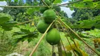 Foto 27 de Fazenda/Sítio à venda, 400000m² em Zona Rural, Glória do Goitá