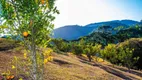 Foto 41 de Fazenda/Sítio com 4 Quartos à venda, 350m² em Granja Mafra, Teresópolis