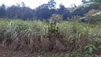 Foto 15 de Fazenda/Sítio com 3 Quartos à venda, 5000m² em Zona Rural, Nova Santa Bárbara