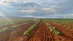 Foto 2 de Fazenda/Sítio à venda em Area Rural de Curvelo, Curvelo