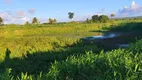 Foto 27 de Fazenda/Sítio com 4 Quartos à venda, 260000m² em Zona Rural, Monte Alegre