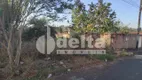 Foto 4 de Lote/Terreno à venda, 250m² em Taiaman, Uberlândia