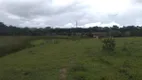 Foto 11 de Fazenda/Sítio com 4 Quartos à venda, 220m² em Zona Rural, Bonfim