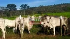 Foto 30 de Fazenda/Sítio à venda em Zona Rural, João Pinheiro