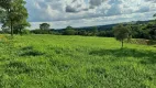 Foto 5 de Fazenda/Sítio à venda, 96800m² em Centro, Bela Vista de Goiás