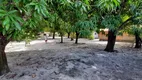Foto 2 de Fazenda/Sítio com 4 Quartos à venda, 5200m² em Moropóia, São José de Ribamar